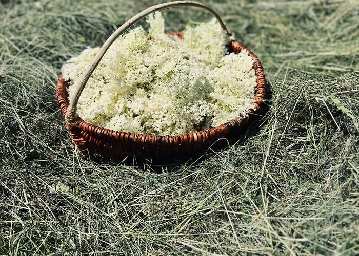 بيت للعطل Nadech - Glamping Na Statku Dekanovice