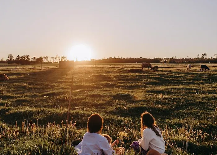 Nadech - Glamping Na Statku Dekanovice
